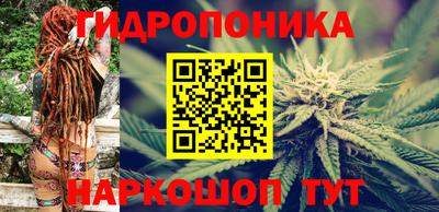 МДПВ Канаш