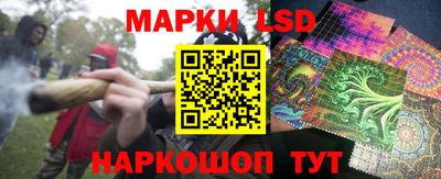 МДПВ Канаш