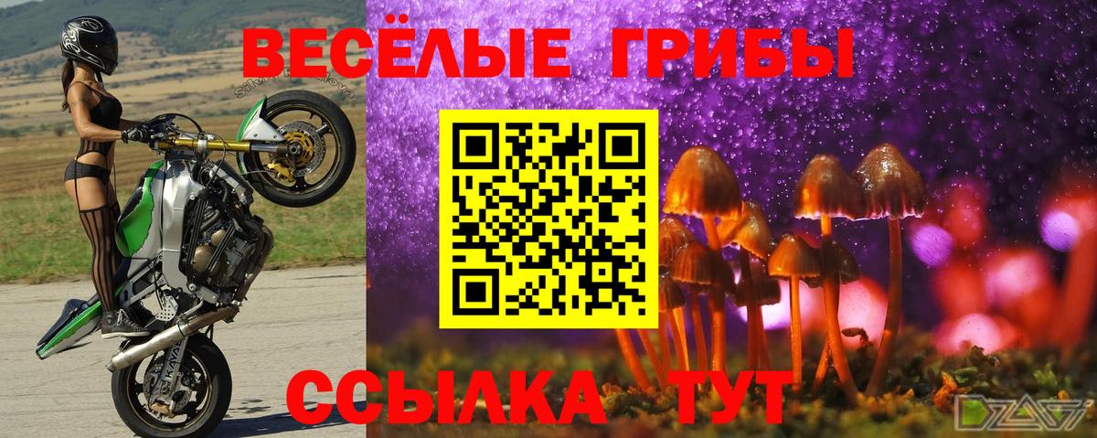 Галлюциногенные грибы Cubensis  Вход с VPN  закладка  Крымск 
